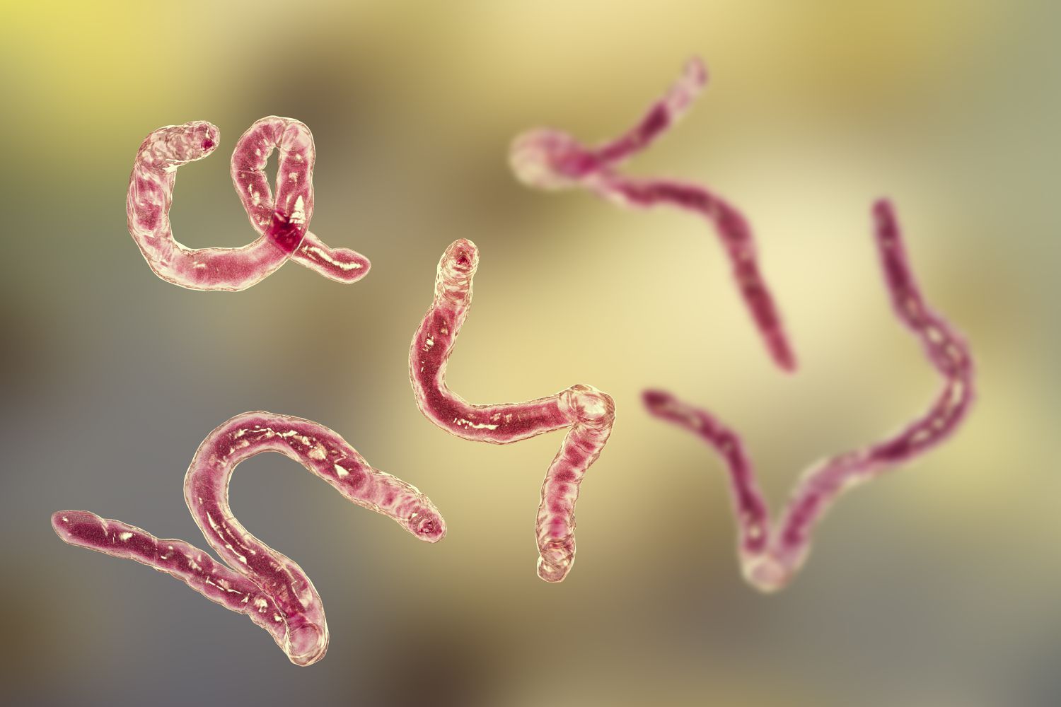 For Health Care Practitioners